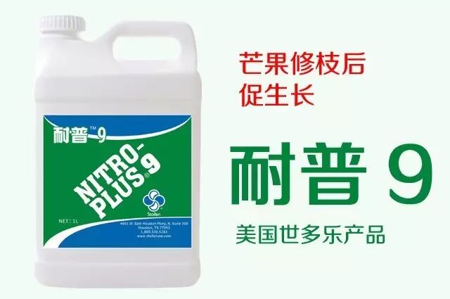 三亚芒果长三角推介会_三亚芒果西郊国际农产品交易中心_上海西郊国际农产品交易中心