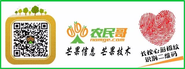 三亚芒果西郊国际农产品交易中心_三亚芒果长三角推介会_上海西郊国际农产品交易中心