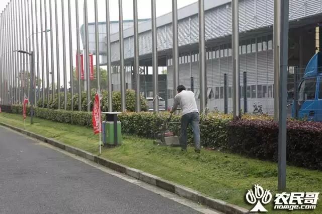 三亚芒果长三角推介会_上海西郊国际农产品交易中心_三亚芒果西郊国际农产品交易中心
