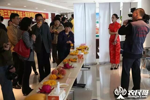 三亚芒果长三角推介会_上海西郊国际农产品交易中心_三亚芒果西郊国际农产品交易中心