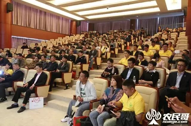 三亚芒果长三角推介会_上海西郊国际农产品交易中心_三亚芒果西郊国际农产品交易中心