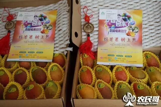 三亚芒果长三角推介会_三亚芒果西郊国际农产品交易中心_上海西郊国际农产品交易中心