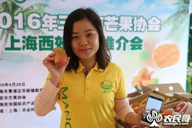 三亚芒果长三角推介会_上海西郊国际农产品交易中心_三亚芒果西郊国际农产品交易中心