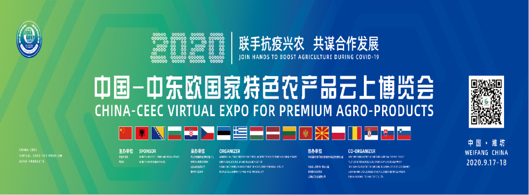 2020中国—中东欧国家特色农产品云上博览会 潍坊国家农业开放发展综合试验区 潍坊农产品出口中东欧_中国中东欧农产品贸易