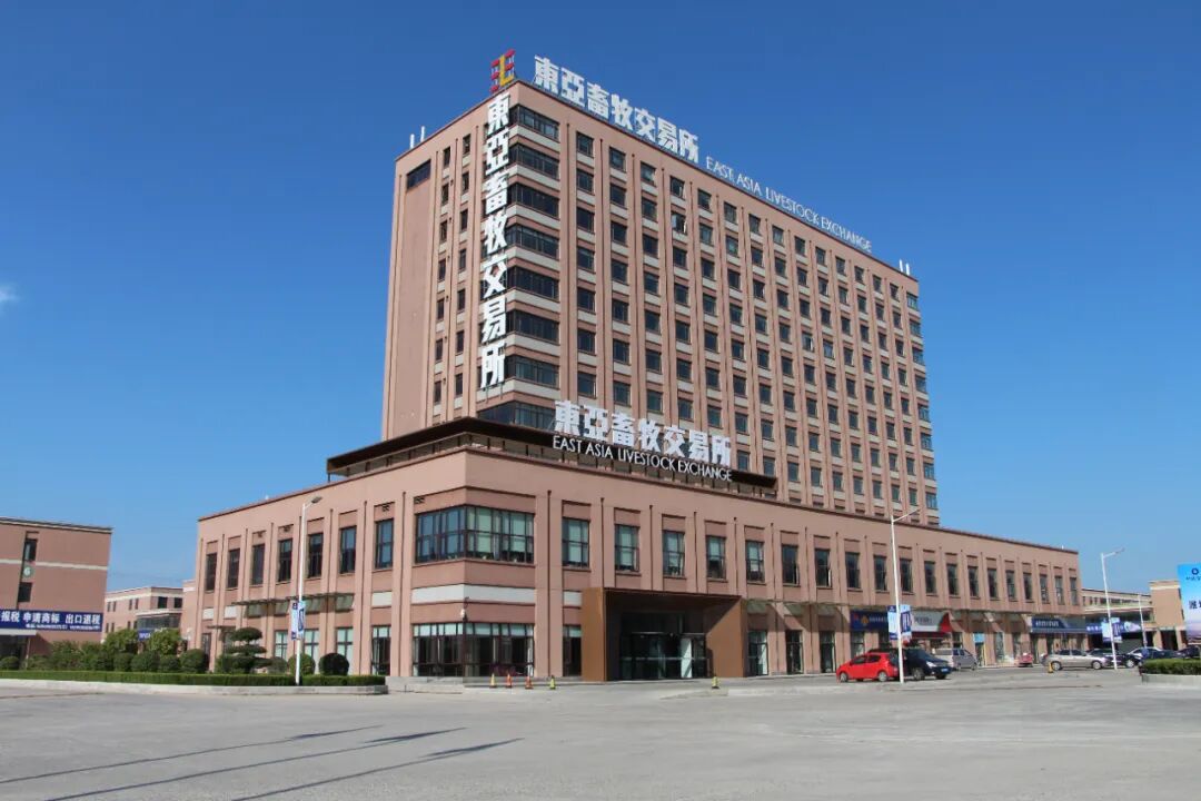 2020中国—中东欧国家特色农产品云上博览会 潍坊国家农业开放发展综合试验区 潍坊农产品出口中东欧_中国中东欧农产品贸易