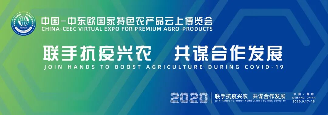 中国中东欧农产品贸易_2020中国—中东欧国家特色农产品云上博览会 潍坊国家农业开放发展综合试验区 潍坊农产品出口中东欧