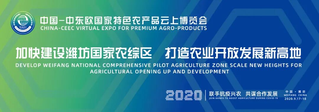 中国中东欧农产品贸易_2020中国—中东欧国家特色农产品云上博览会 潍坊国家农业开放发展综合试验区 潍坊农产品出口中东欧