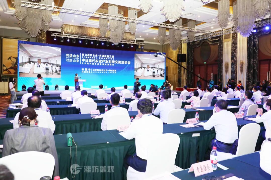 2020中国—中东欧国家特色农产品云上博览会 潍坊国家农业开放发展综合试验区 潍坊农产品出口中东欧_中国中东欧农产品贸易
