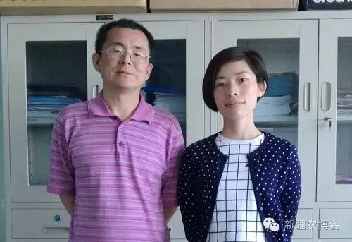 新疆农博会 第十六届农业展会 新疆国际会展中心_北京新疆农产品展
