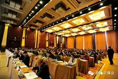 新疆农博会 第十六届农业展会 新疆国际会展中心_北京新疆农产品展