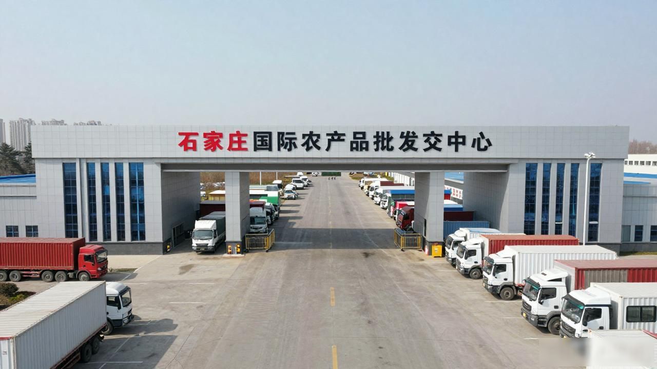 石家庄桥西蔬菜批发市场搬迁 石家庄国际农产品批发交易中心 新建批发市场_江北农产品批发市场