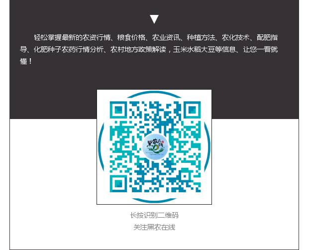 玉米价格走势分析_黑龙江省新粮价格_黑龙江农产品期货市场