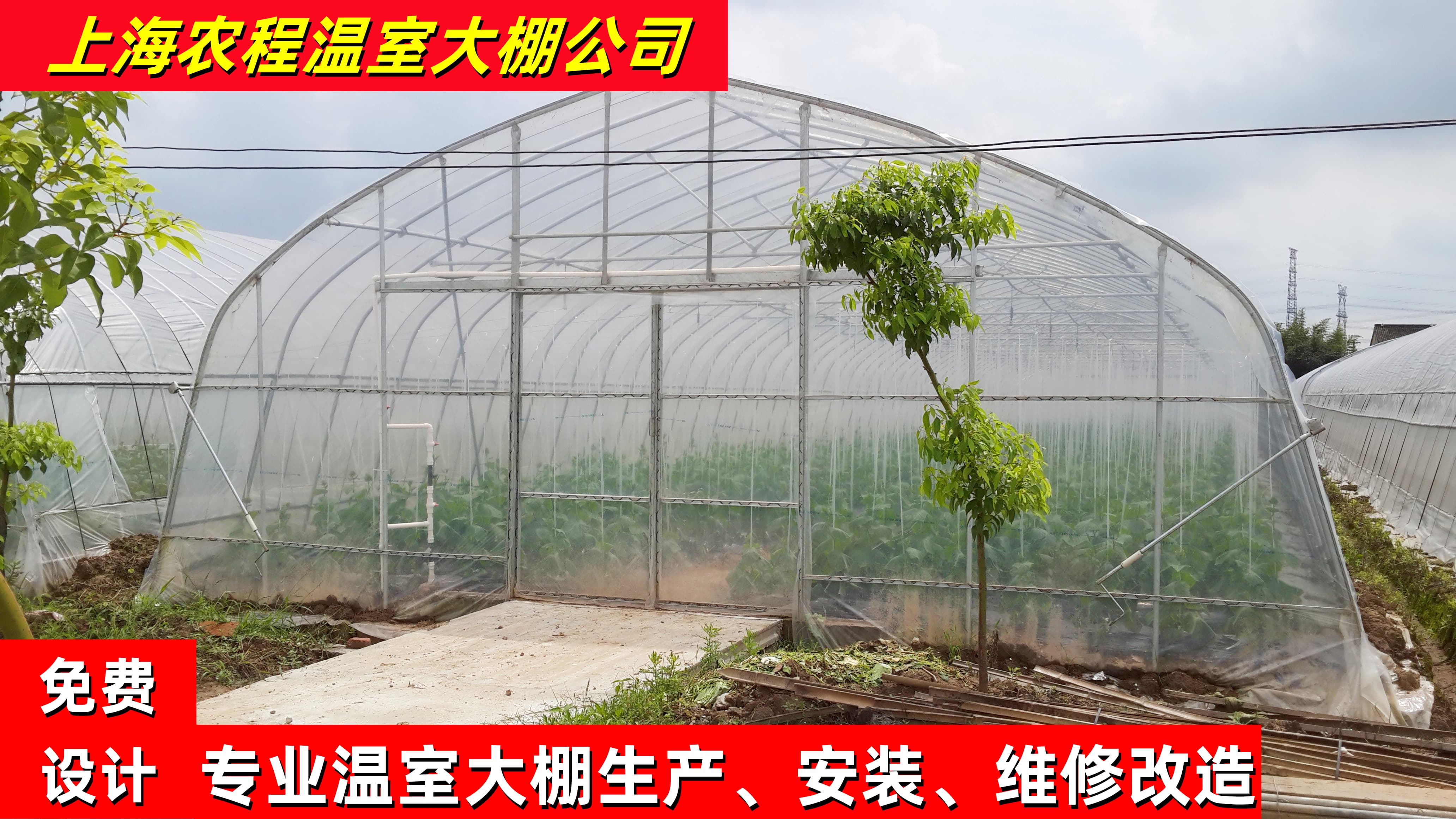 GP-832型单体钢管大棚 单体蔬菜大棚骨架