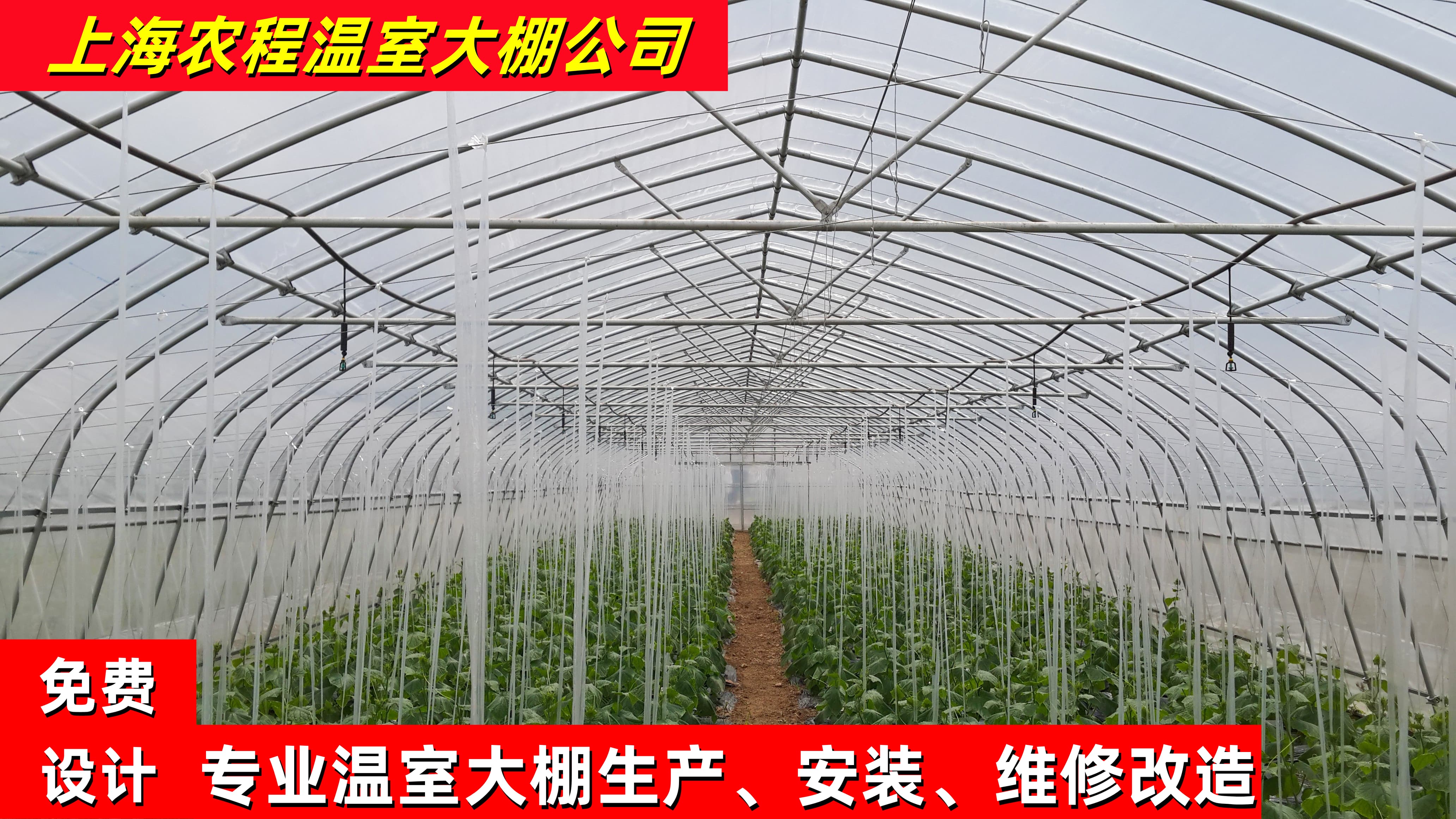GP-832型单体钢管大棚 单体蔬菜大棚骨架