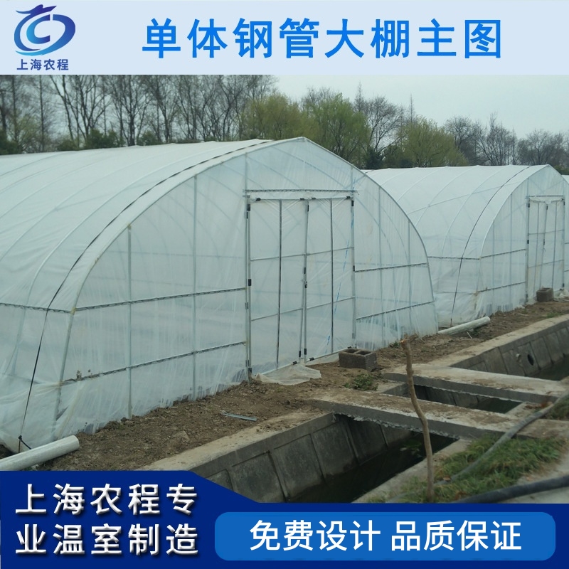 联合六型单体塑料管棚 单体塑料种植大棚安装